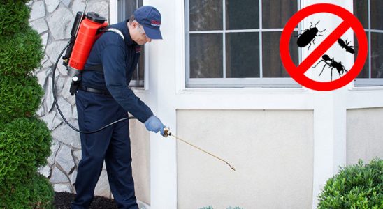 Solhan Dezenfeksiyon böcek ilaçlama ve haşere kontrolü — ilaclama-tr.com
